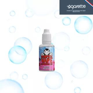 Concentr&eacute; Berry menthol Vampire Vape