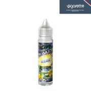 Sanctuary Twelve Monkeys