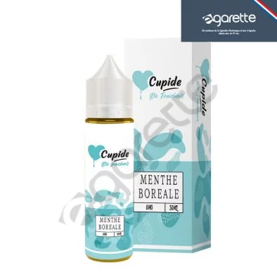 Menthe Boréale Cupide Maison Fuel 0