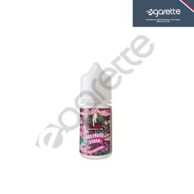 Concentré Fruits rouges glacé Les fruits d'Eden 0