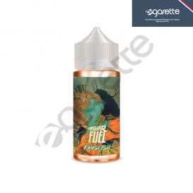 Kansetsu Fighter Fuel