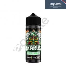 Ikarus Xcalibur FrenchLab