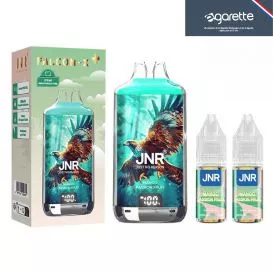 Puff Mango Passion Fruit Falcon X 28000 - JNR