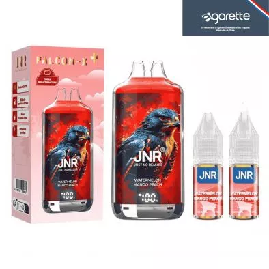 Puff Watermelon Mango Falcon X 28000 - JNR 0