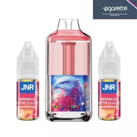 Puff Nouvelle Pêche Glacée Falcon GEM+ 30000 - JNR