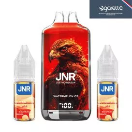 Puff Watermelon Ice Falcon X 28000 - JNR