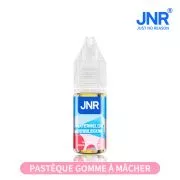 E-Liquide Sels de Nicotine Watermelon Bubblegum - 10ml - JNR
