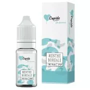 E-Liquid Menthe Boréale - Cupide - 10ml - Maison Fuel