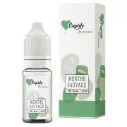 E-Liquide Menthe Sauvage - Cupide - 10ml - Maison Fuel