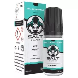 E-Liquid Nikotinsalze Ice Mint - Salt E-Vapor - 10ml - Le French Liquide