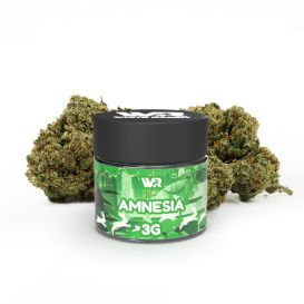 Fleurs CBD Amnesia - 3G - White Rabbbit