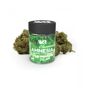 Blumen CBD Amnesia - 7G - White Rabbbit