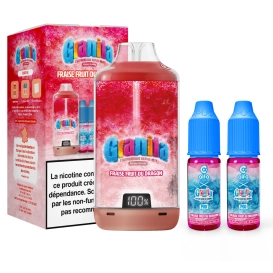 Puff Hybride Fraise Fruit Du Dragon 30K Big Puff - Granita - Alfaliquid