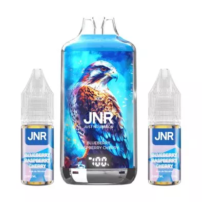 Puff Hybride Blueberry Raspberry Cherry Falcon X 28000 - JNR 0