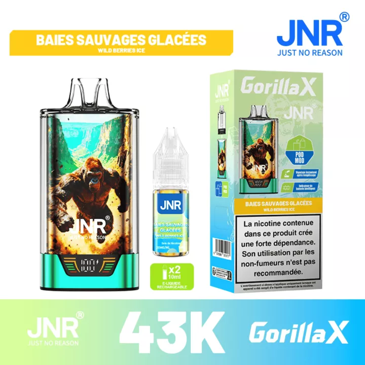 Puff saveur baies sauvages glac&eacute;es | Gorilla X 43K | JNR