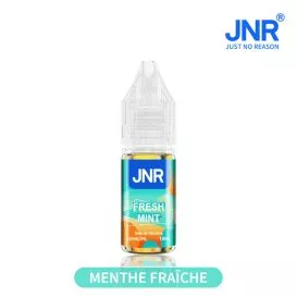 E-Liquide Sels de Nicotine Fresh Mint - 10ml - JNR
