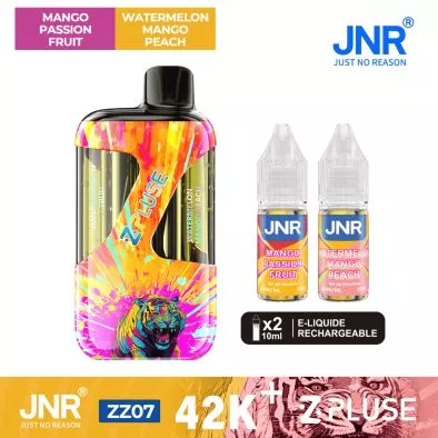 Puff Hybride Mango Passionfruit/Watermelon Mango Peach - JNR Z Pluse 42K 0