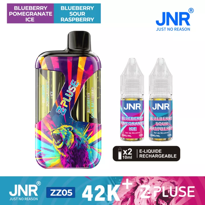Z Pluse 42K JNR | 2 Aromen Frische Blaubeere-Granatapfel / Blaubeere-Himbeere