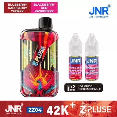 Puff Hybride Blueberry Raspberry Cherry/Blackberry Red Raspberry - JNR Z Pluse 42K 0