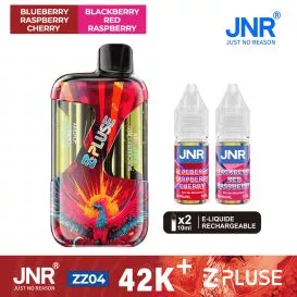 Puff-Hybride Blueberry Raspberry Cherry/Blackberry Red Raspberry - JNR Z Pluse 42K
