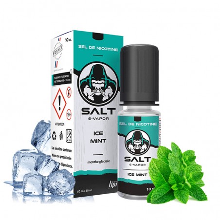 SALT E-VAPOR - ICE MINT - 10ML 6,90 €