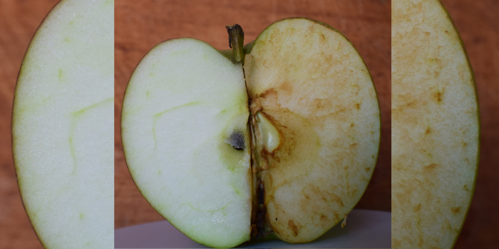 e-liquid haltbarkeit nach öffnen E-Liquid Shelf Life: How Long Does Vape Juice Last? Does It Expire? main image 1