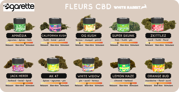fleurs-cbd-white-rabbit