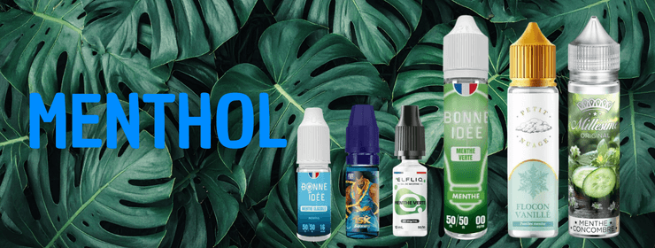 Illustration der Geschmacksfamilie Menthol E-Liquids.