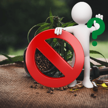 Arrêté interdisant la vente de fleurs de CBD : bonne ou mauvaise nouvelle pour l’industrie du chanvre ?