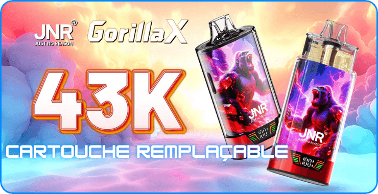 Présentation Gorilla X 43K